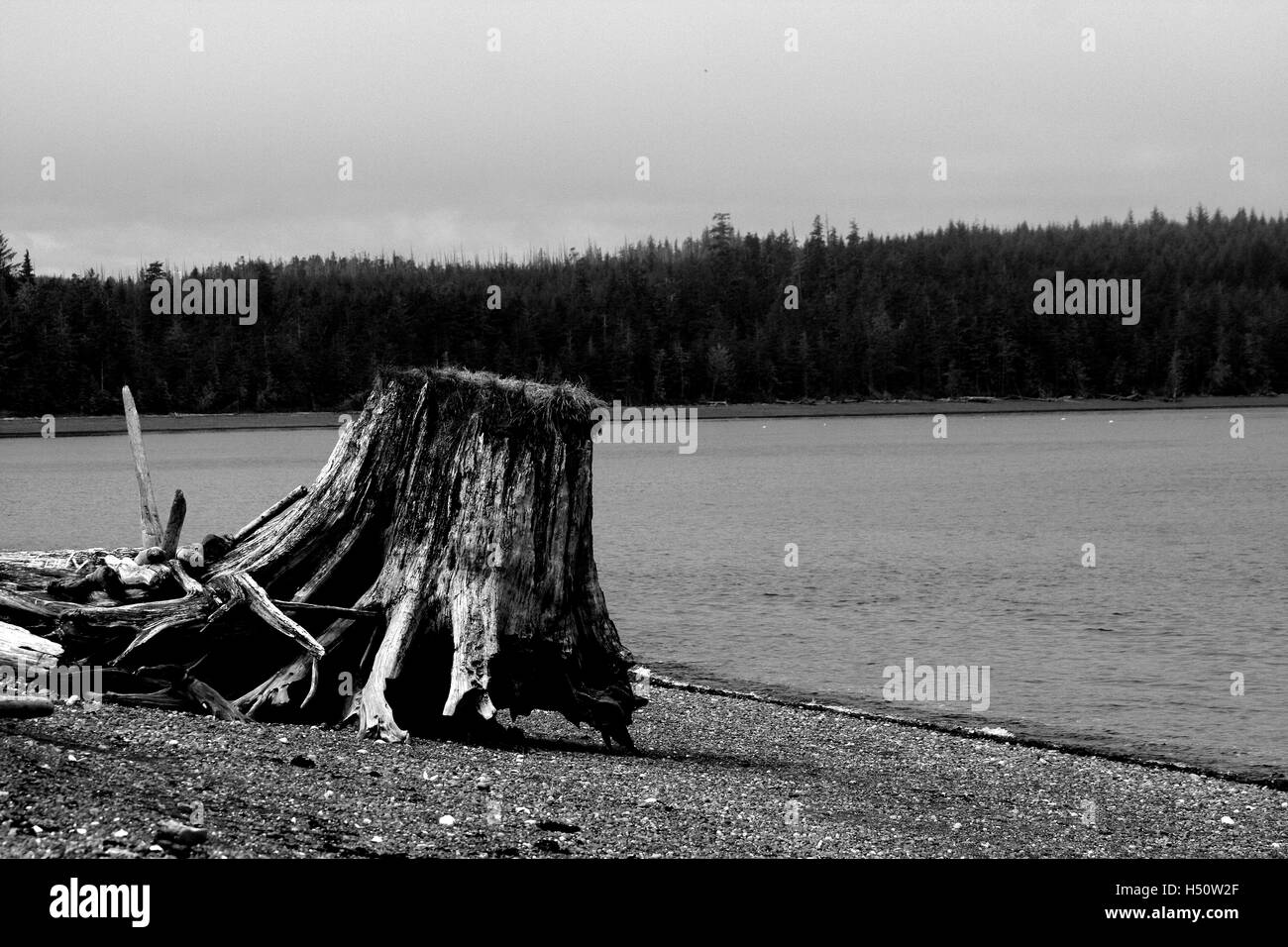 Port Macneill beach. Vancouver island. British columbia. Canada Stock