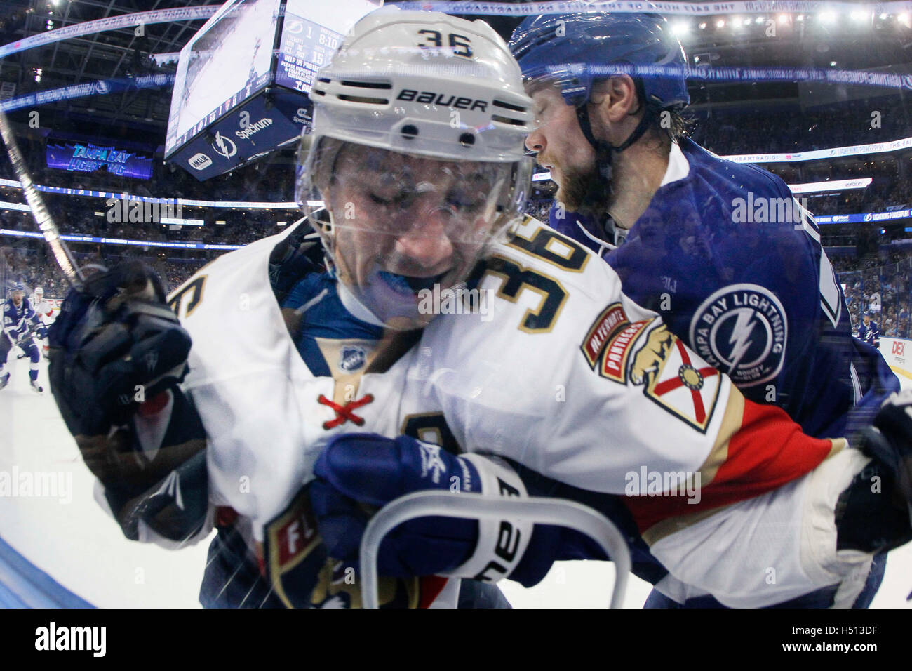 Tampa, Florida, USA. 18th Oct, 2016. DIRK SHADD Times.Tampa Bay