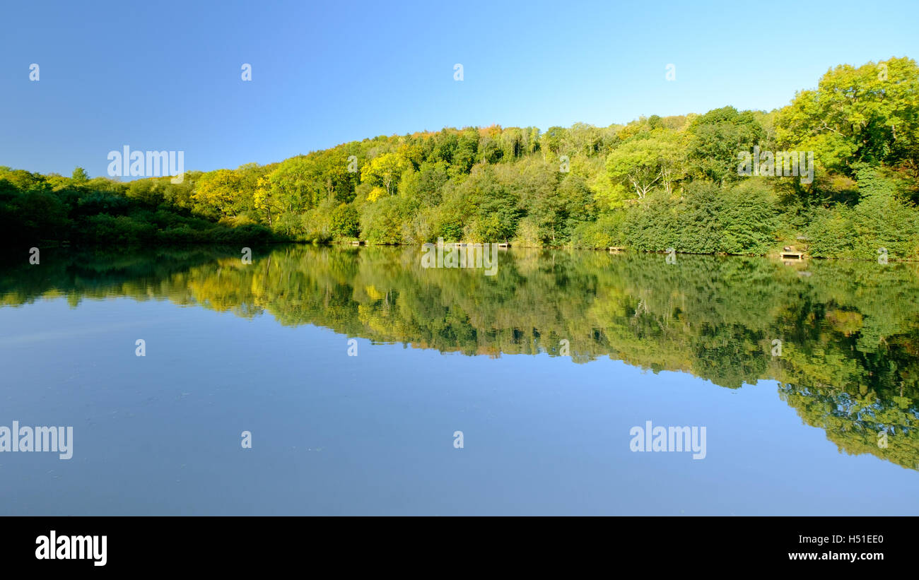 Panoramic of trees reflected in a lake Stock Photo - Alamy