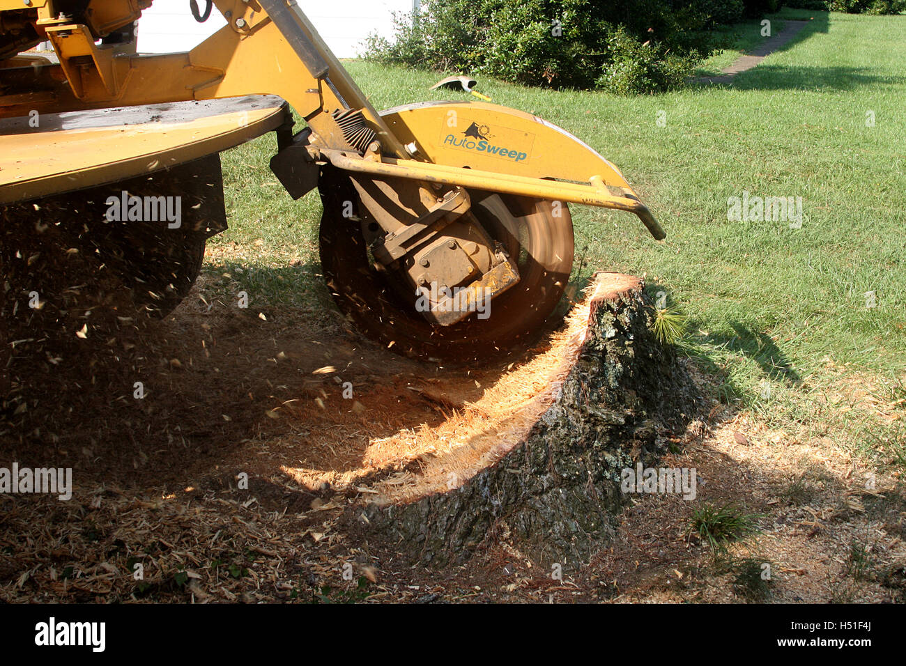 Stump grinder hires stock photography and images Alamy