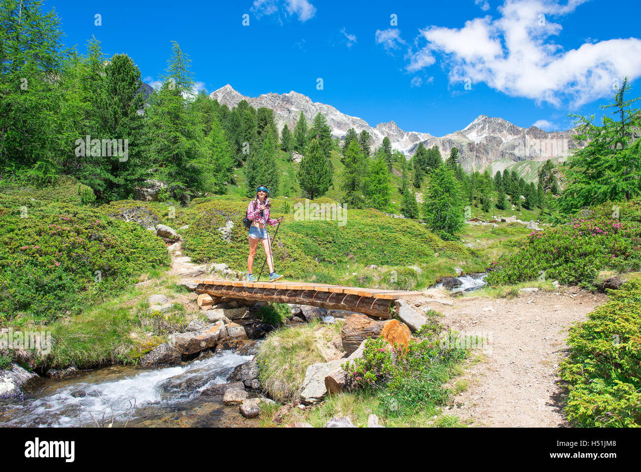 Girl crosses a wooden bridge on mountain path in the summer Stock Photo ...