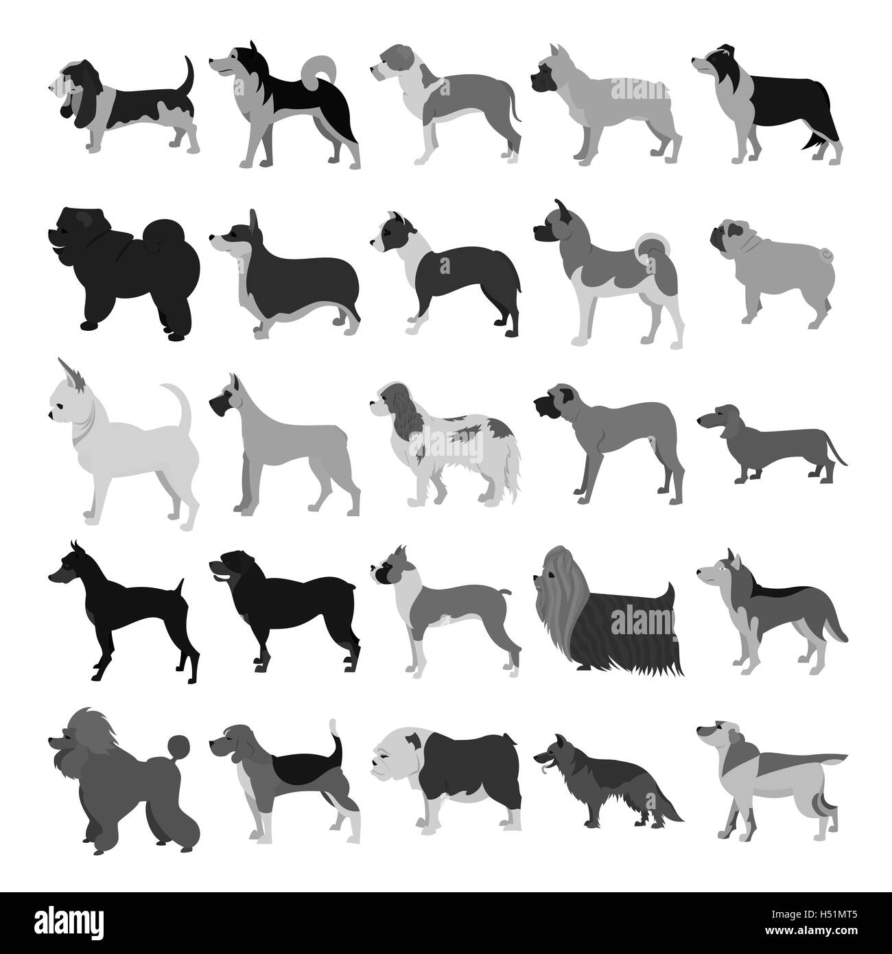 Set of dog breeds in dark colors. Beagle and boxer, bulldog and doberman,  illustration Stock Photo