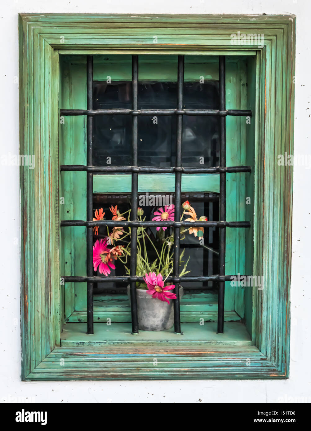 Flowers in the window Stock Photo Alamy