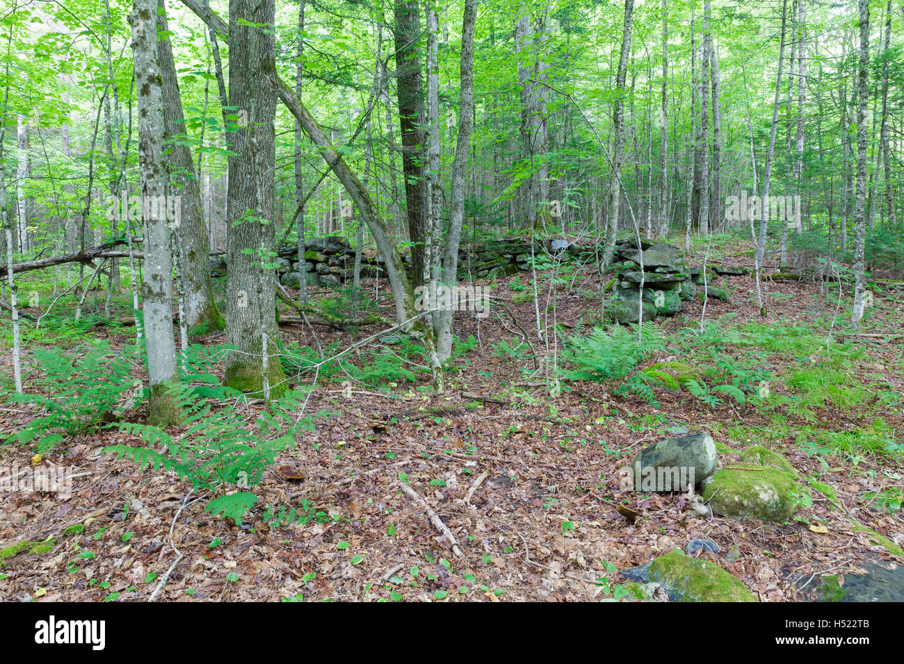Site of Merrill’s Mountain House in Warren, New Hampshire during the