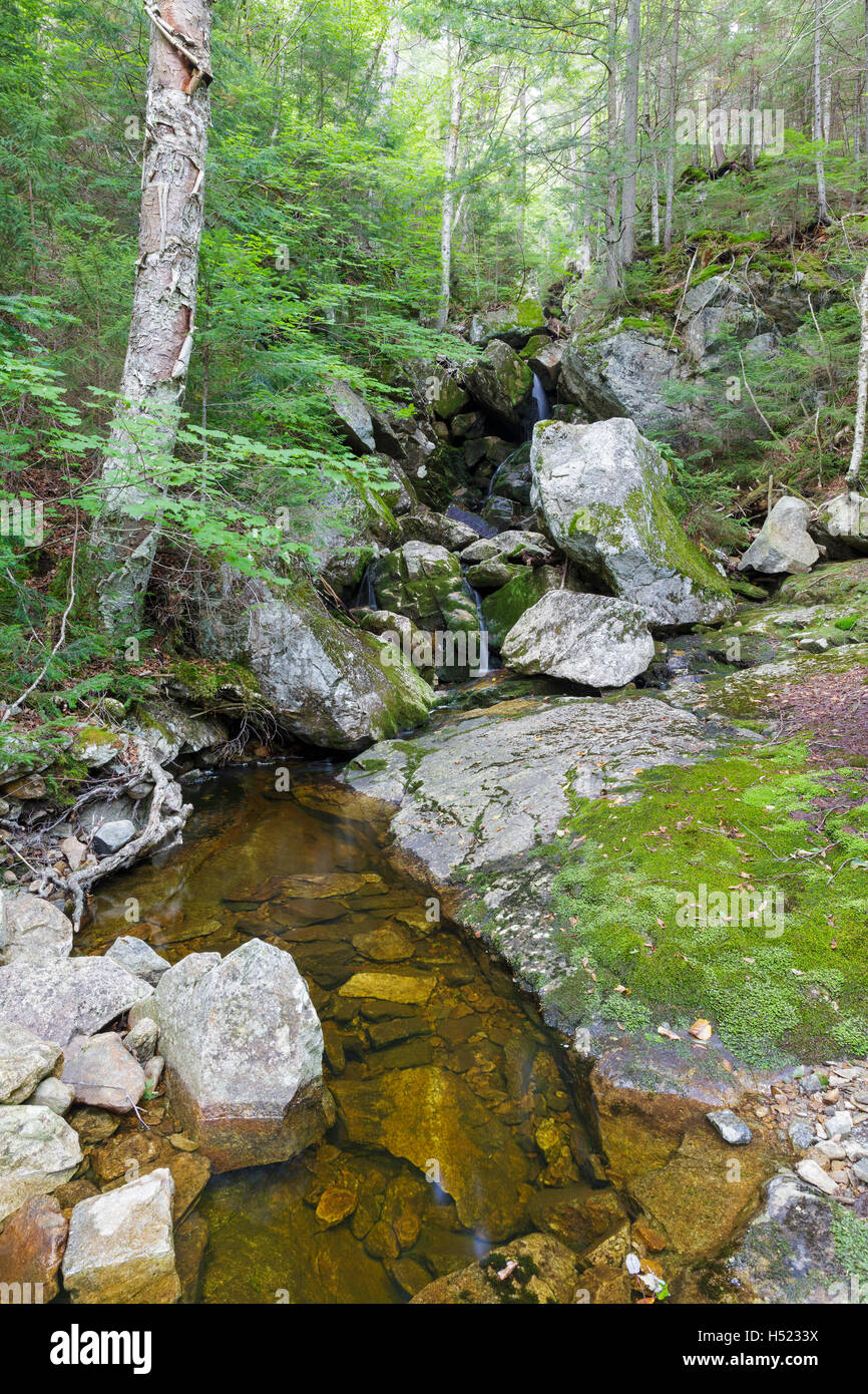 Fleming Flume on Elephant Head Brook in Carroll, New Hampshire during