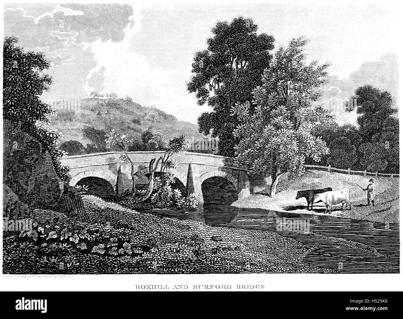 Engraving of Boxhill (Box Hill) and Burford Bridge, Surrey scanned at