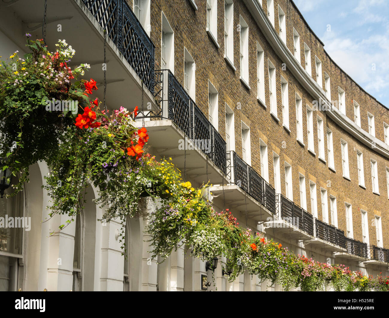 Hanging baskets in one of London's most beautiful crescents