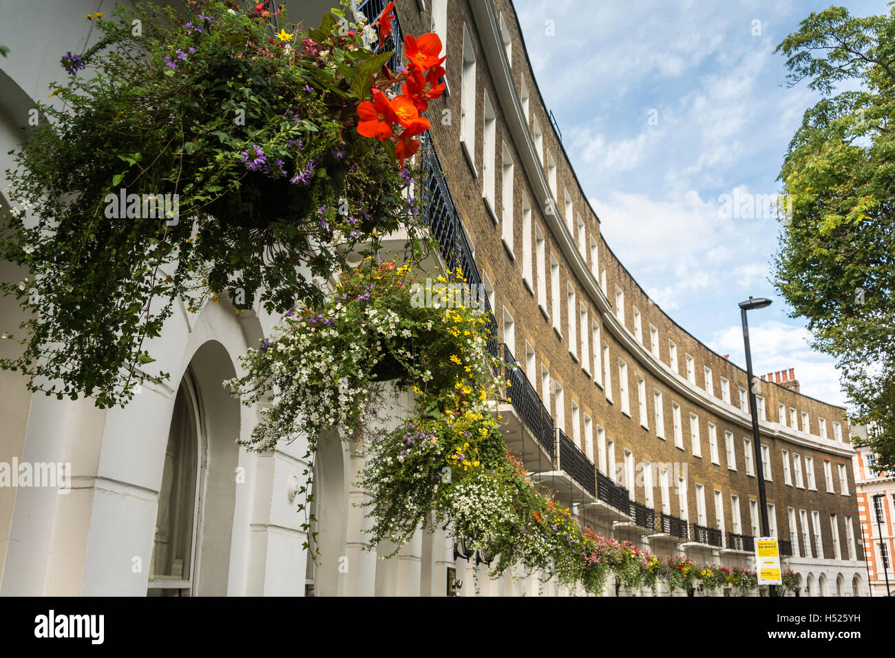 Hanging baskets in one of London's most beautiful crescents
