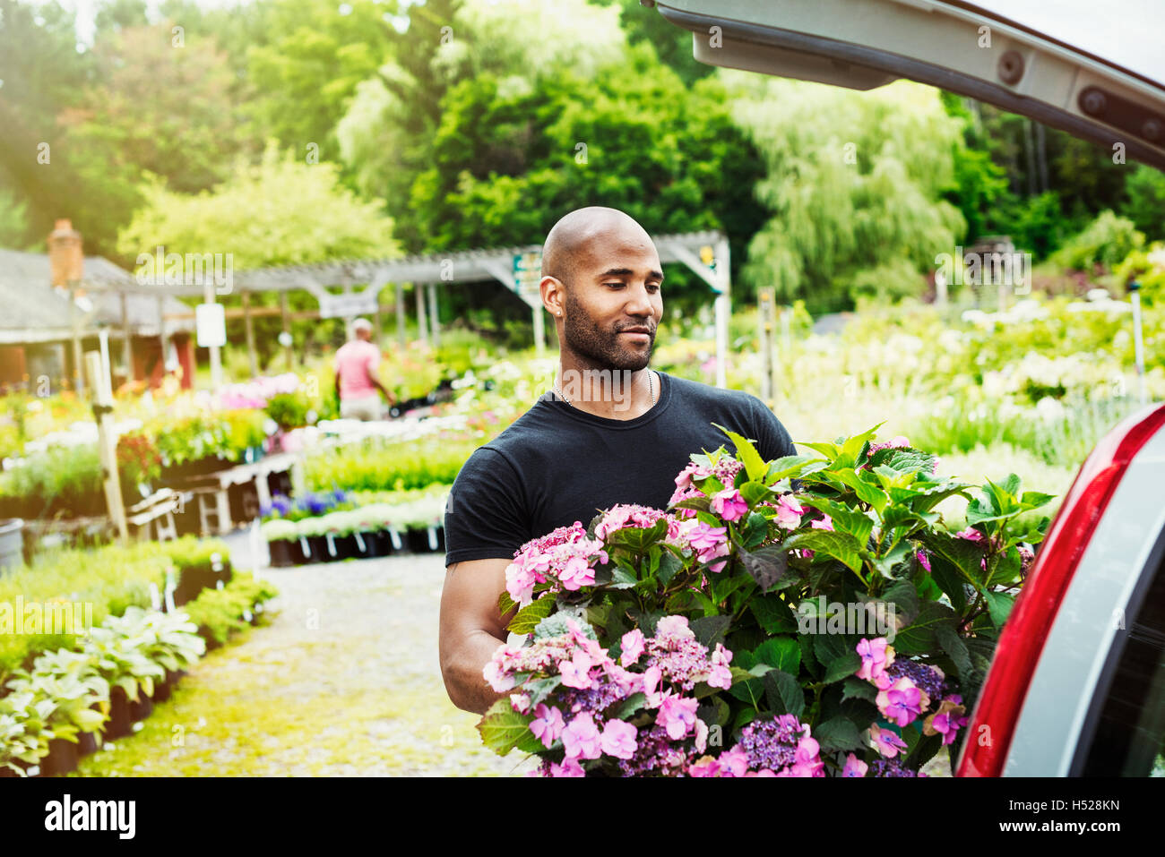 Car parked at a garden centre, a man loading flowers into the boot. Stock Photo