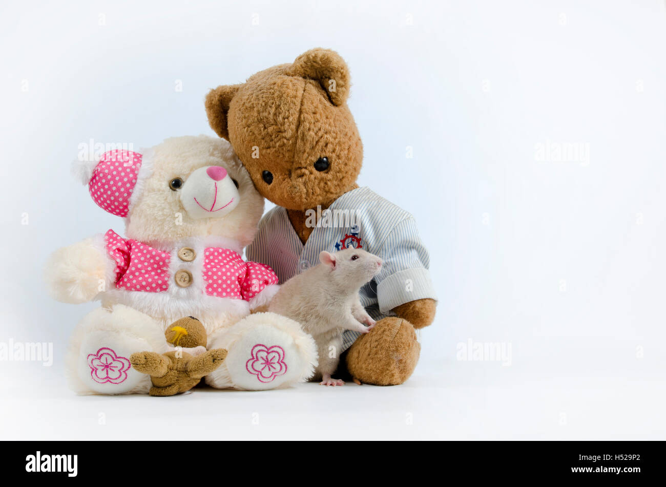 Old soft toys hires stock photography and images Alamy