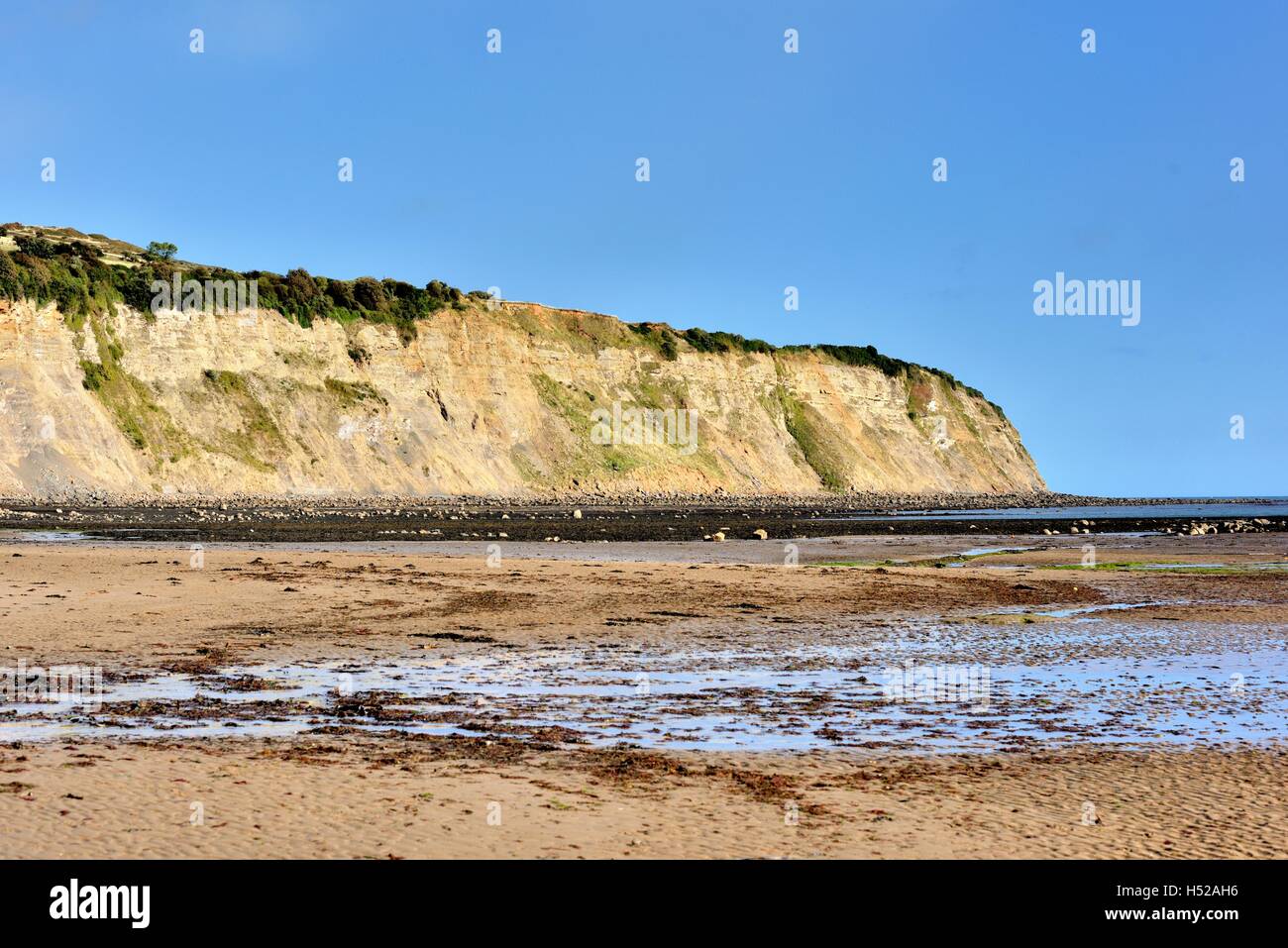 The beach at low tide in Robin Hoods Bay North Yorkshire England UK Stock Photo