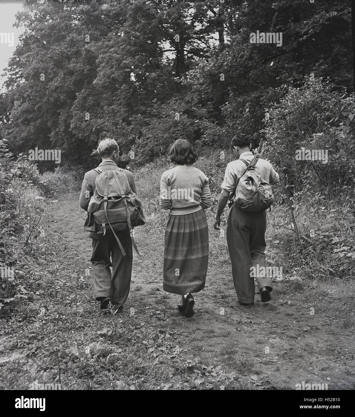1950s, historical, three people out walking or rambling on a path through a forest in normal everyday clothing, two with canvas satchels on backs, England Stock Photo - Alamy