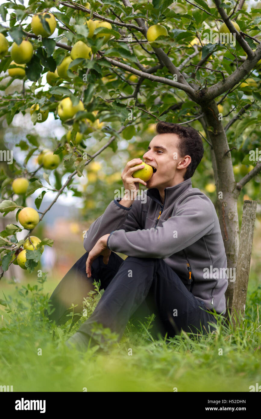 Teenage boy under a tree, biting an apple Stock Photo