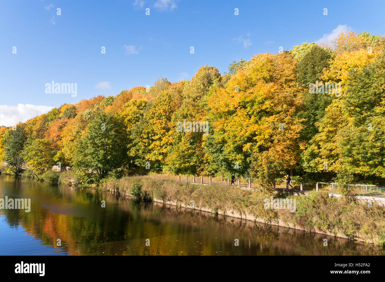 Autumn foliage colour, reflected in the river Wear, near Baths Bridge,  Durham City, Co. Durham, England, UK Stock Photo
