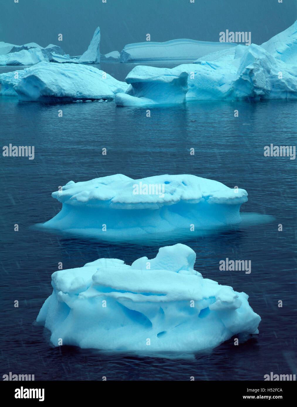 Icebergs in rain, Antarctica Stock Photo