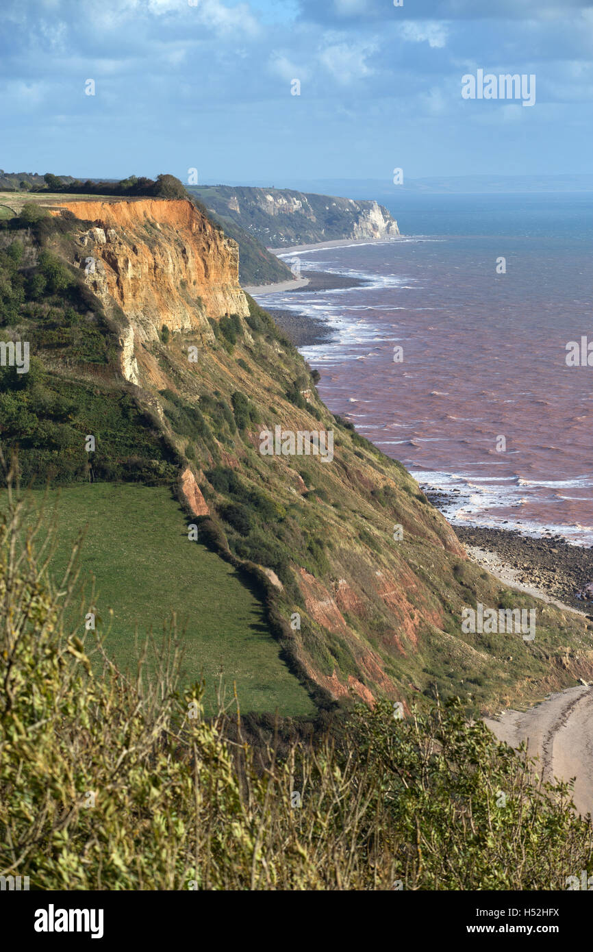 Sidmouth. South West Coast path from the cliffs over Sidmouth, east towards Branscombe. The sea looks red due to local sandstone rock. Stock Photo