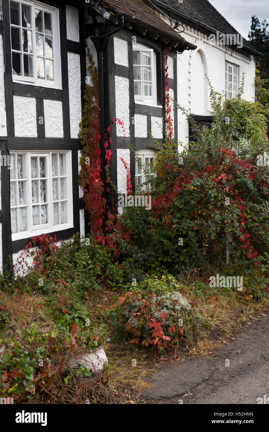 UK, England, Cheshire, Bunbury, Bowe’s Gate Road, small front garden of black and white cottage Stock Photo