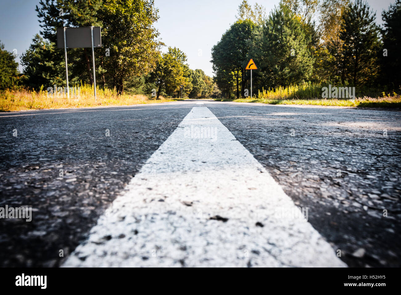 Road into the forest. Color with Stock Photo Alamy