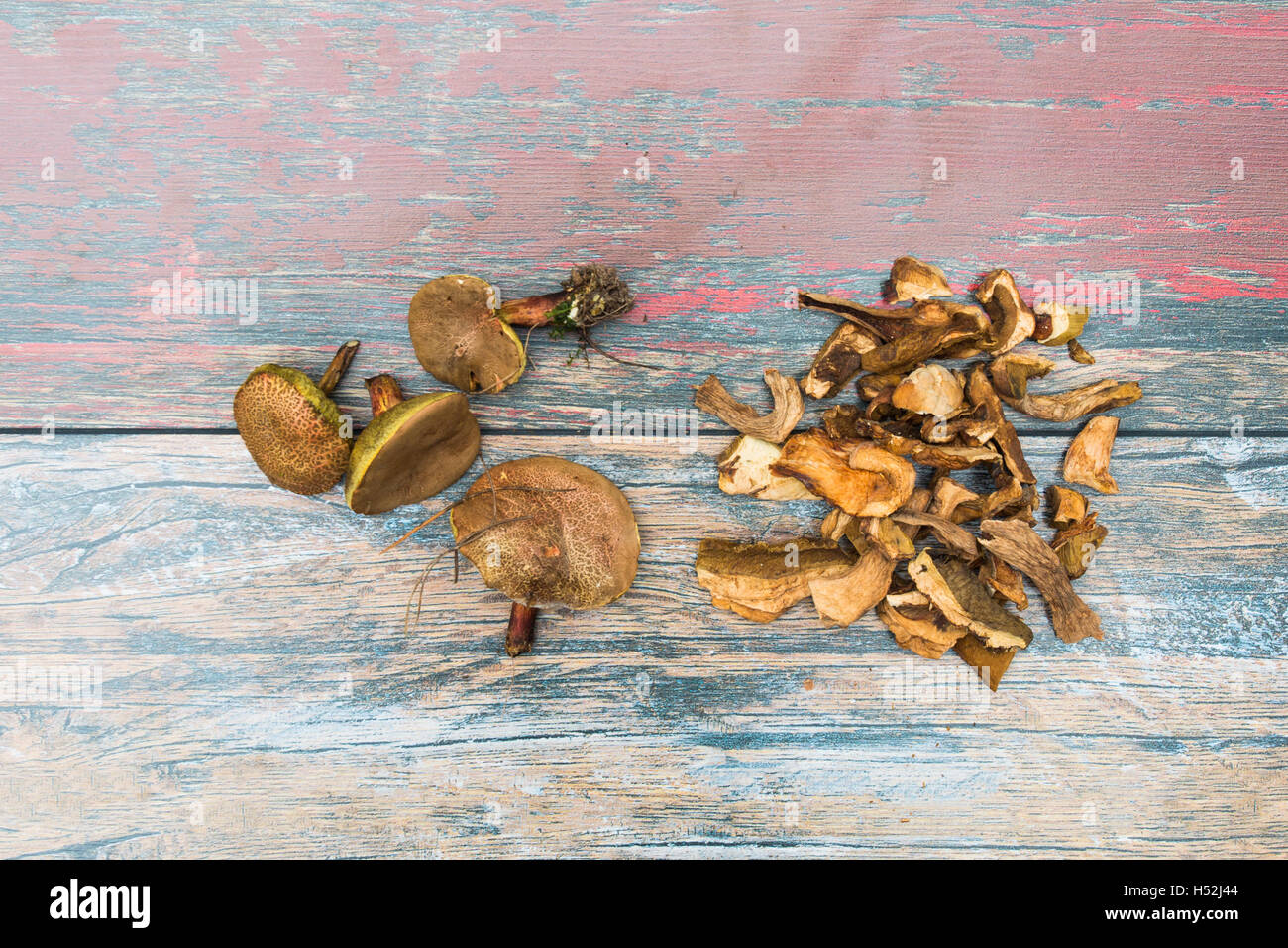 Pile of dried and fresh mushrooms Stock Photo