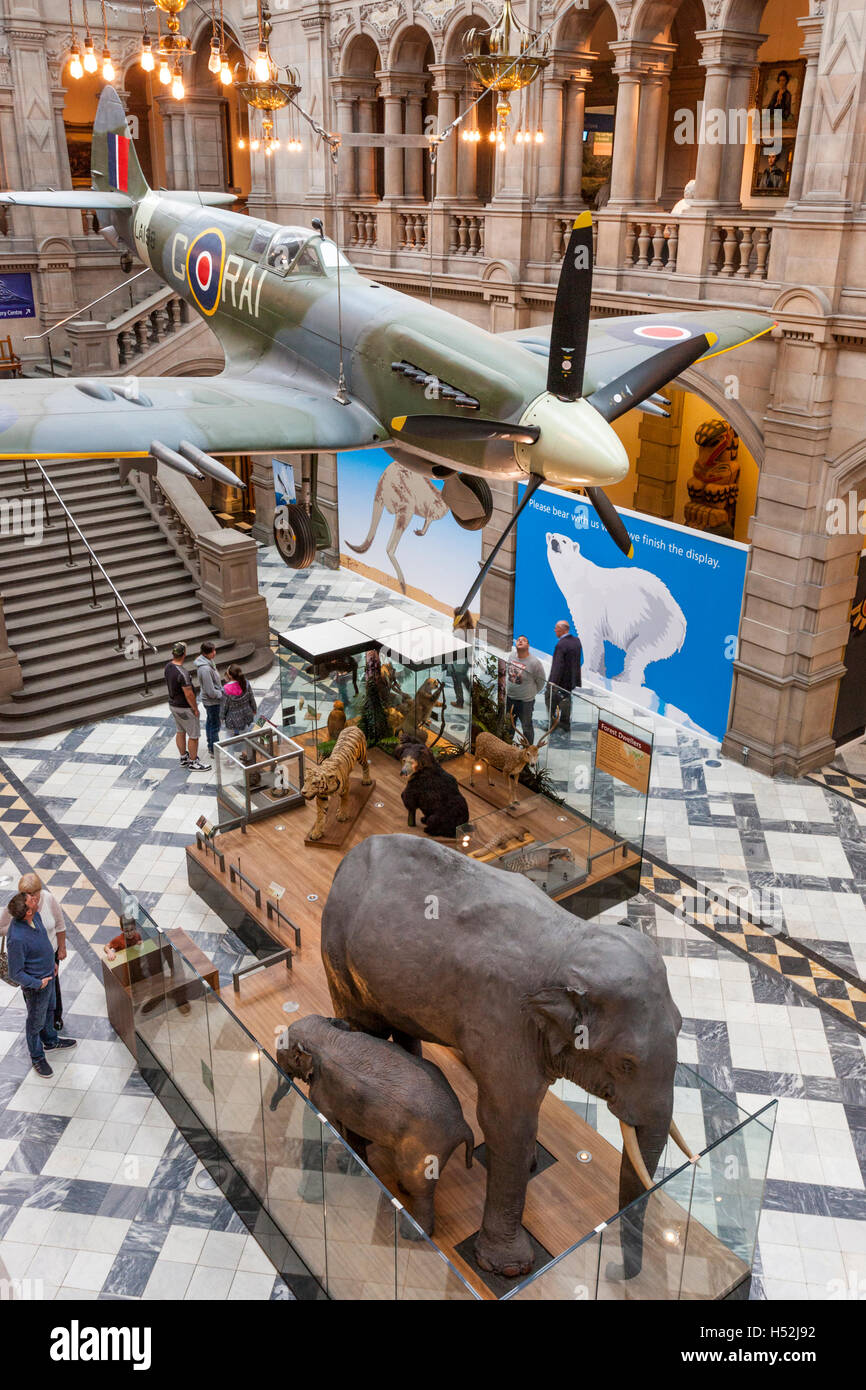A Spitfire and elephants in Kelvingrove Art Gallery and Museum, Glasgow, Scotland UK - The museum has free admission. Stock Photo