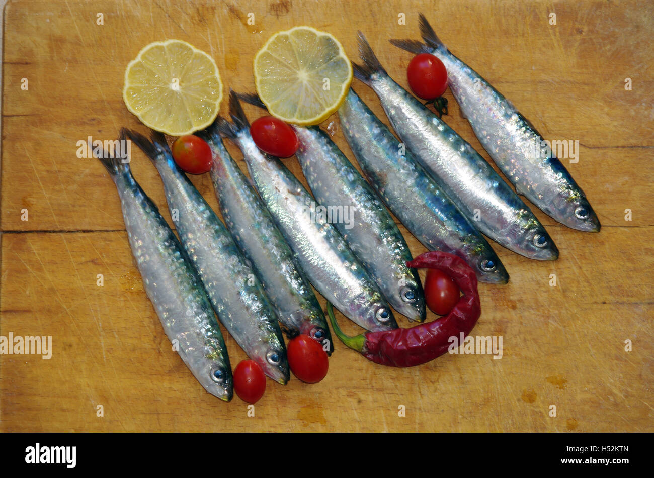 Sardine (sardina pilchardus) Stock Photo