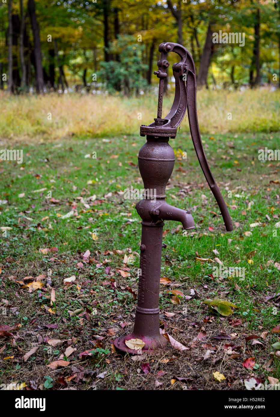 How Much Did Water Cost In The 1800S at Lloyd Whitley blog
