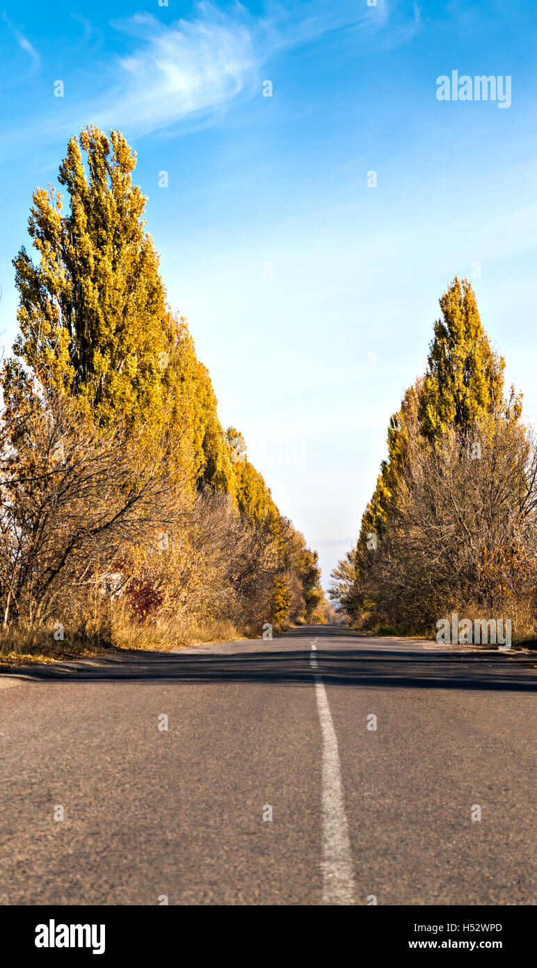 asphalt road between autumn trees against the sky vertical Stock Photo ...