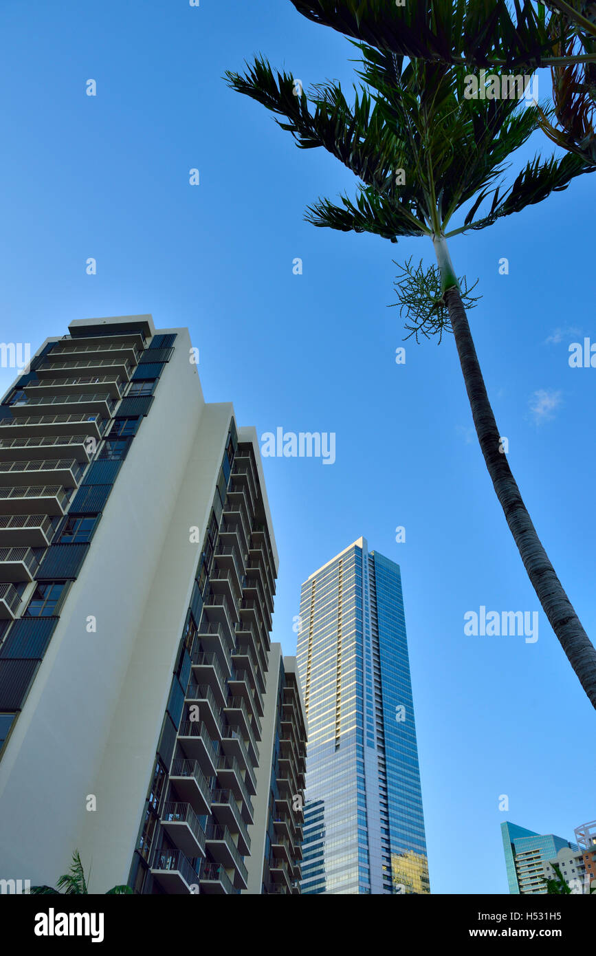 Miami skyscrapers (Brickell Bay Towers Condo Association and  HSBC Bank), Florida Stock Photo