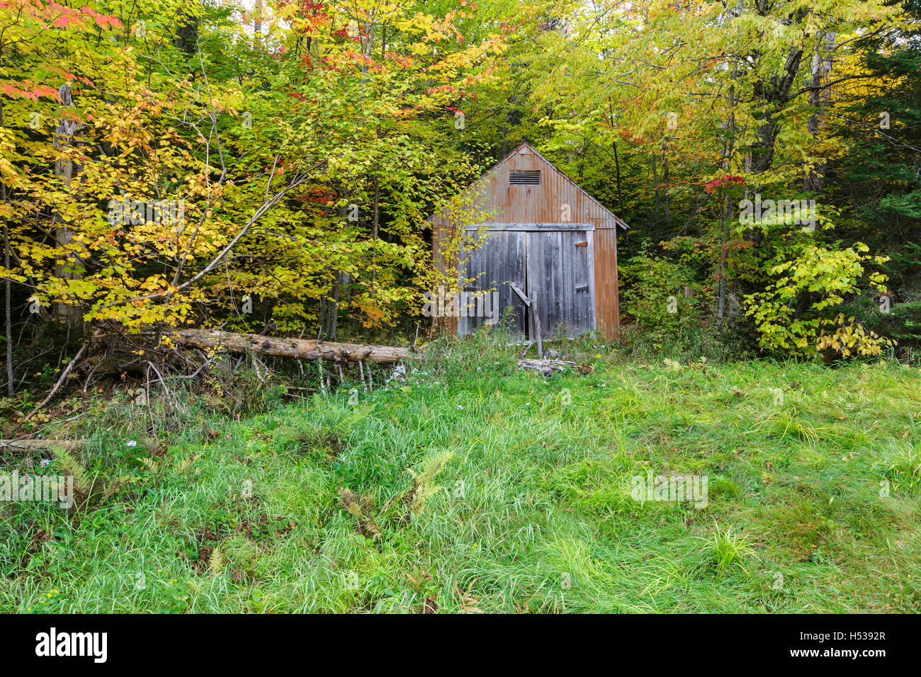 Old shed at the Fabyan Guard Station along the old Jefferson Turnpike