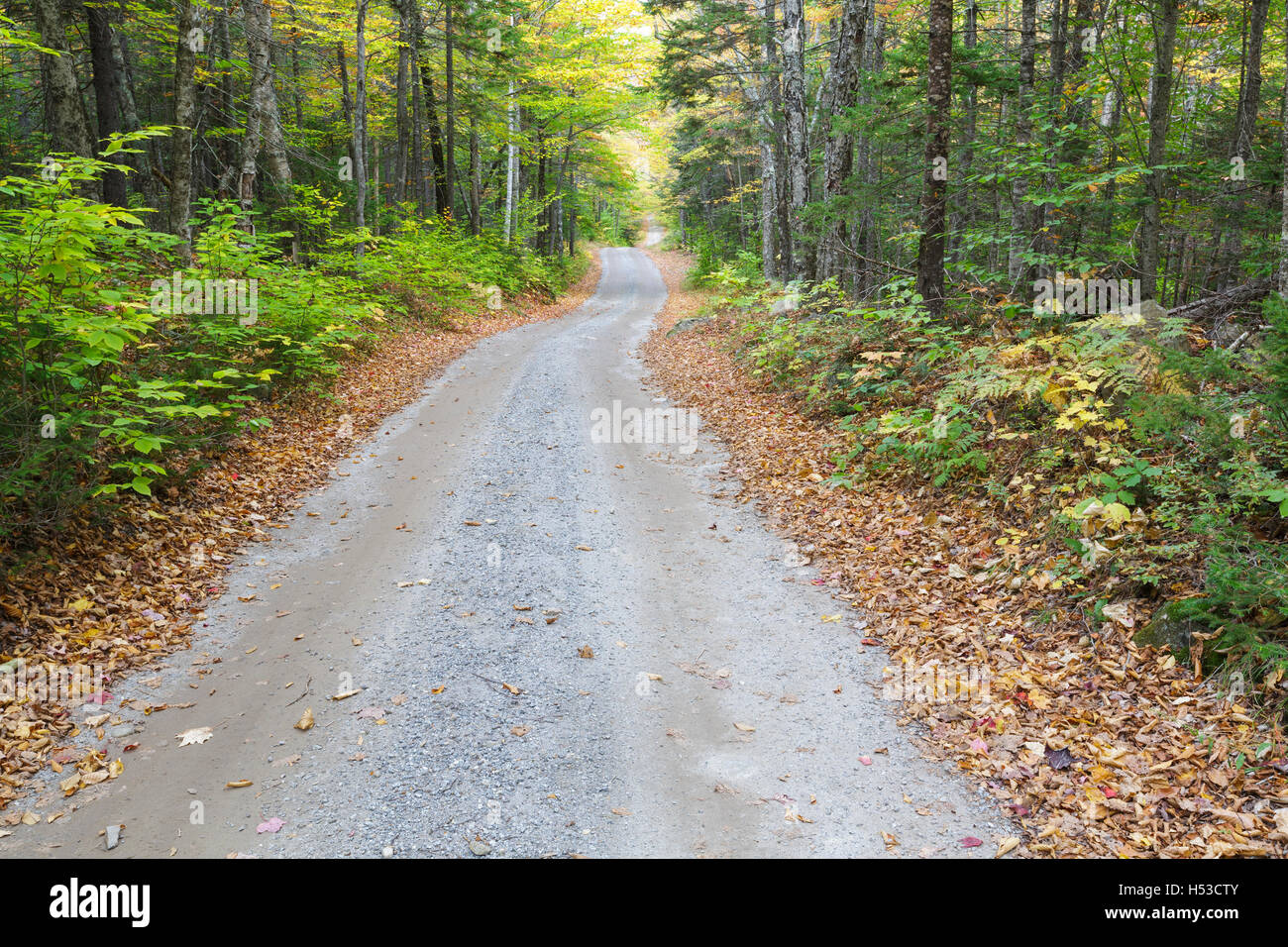 Sandwich Notch Road in Sandwich, New Hampshire during the autumn months