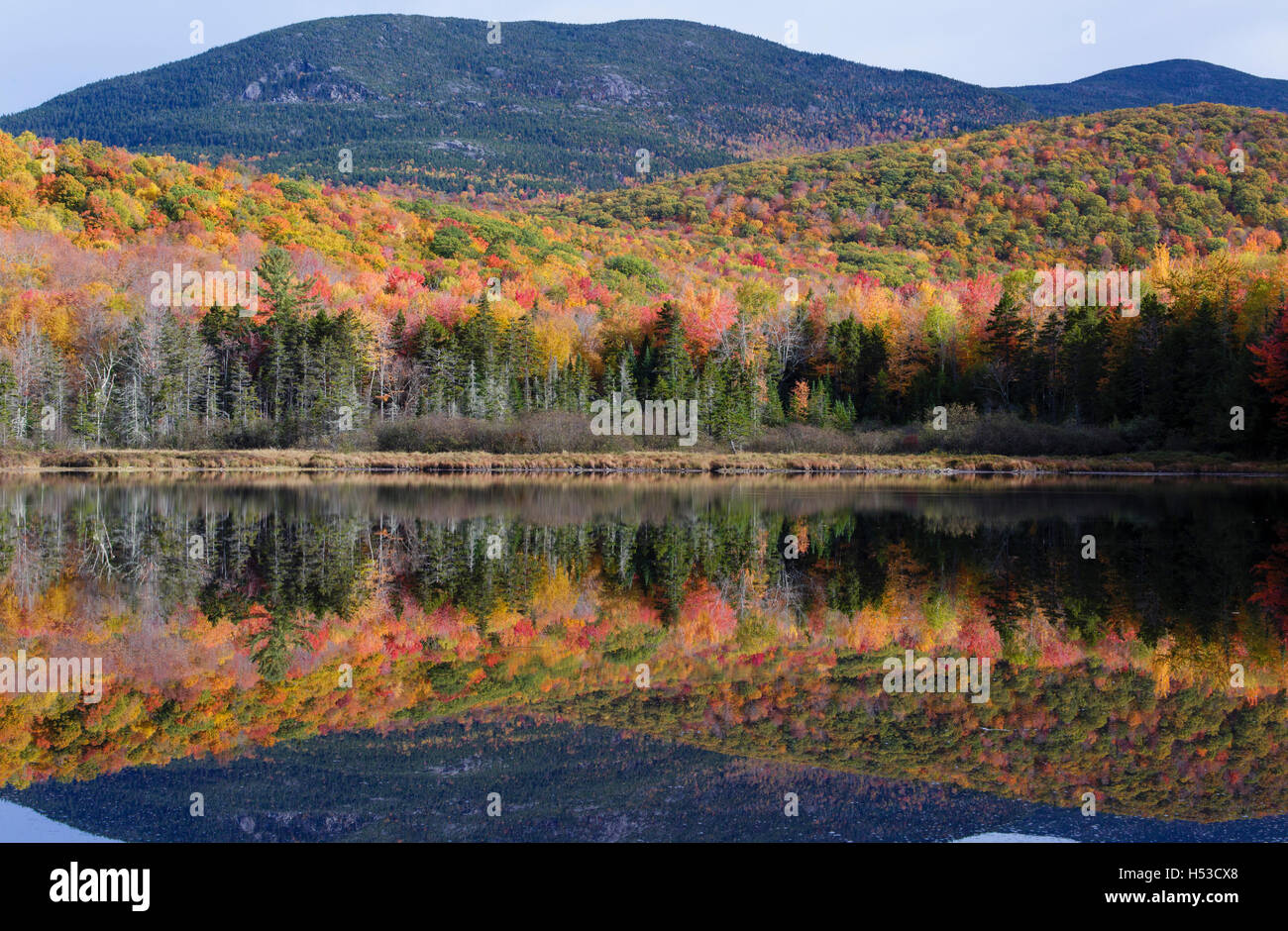 Reflection of autumn foliage in Kiah Pond in Sandwich, New Hampshire ...