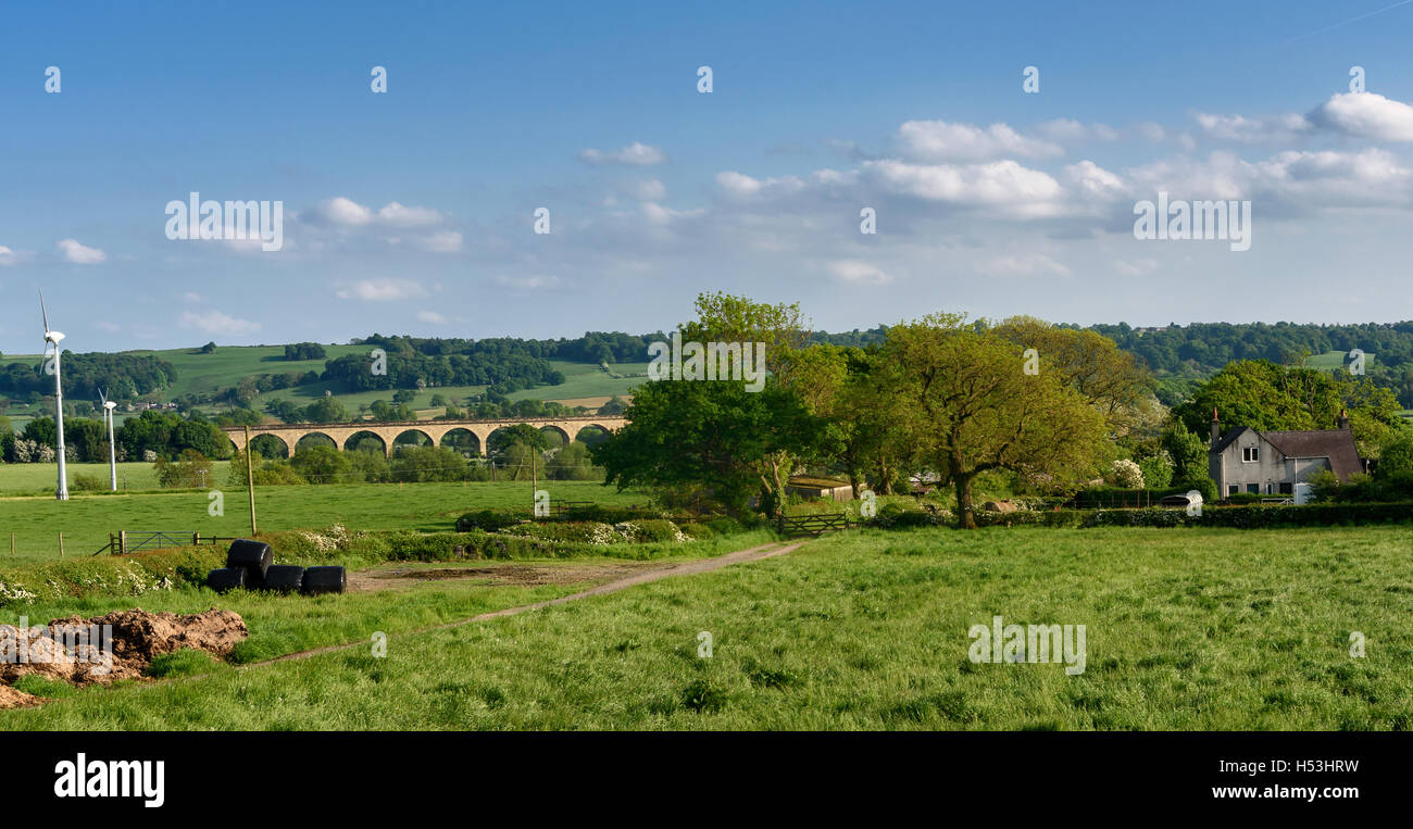 Crimple Valley is an area south of Harrogate (North Yorkshire) surrounding the River Crimple. Stock Photo
