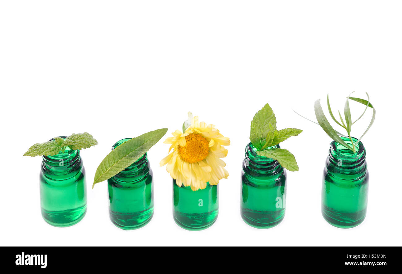 Bottle of essential oil with herb fresh plants and flowers Stock Photo