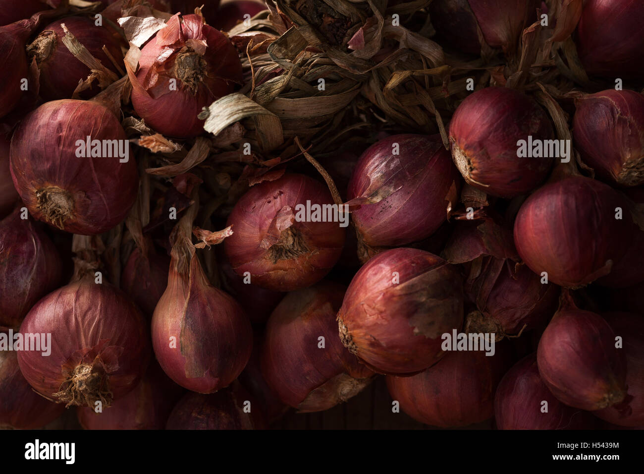 shallots still life wood background onion bulb season herb vegetable