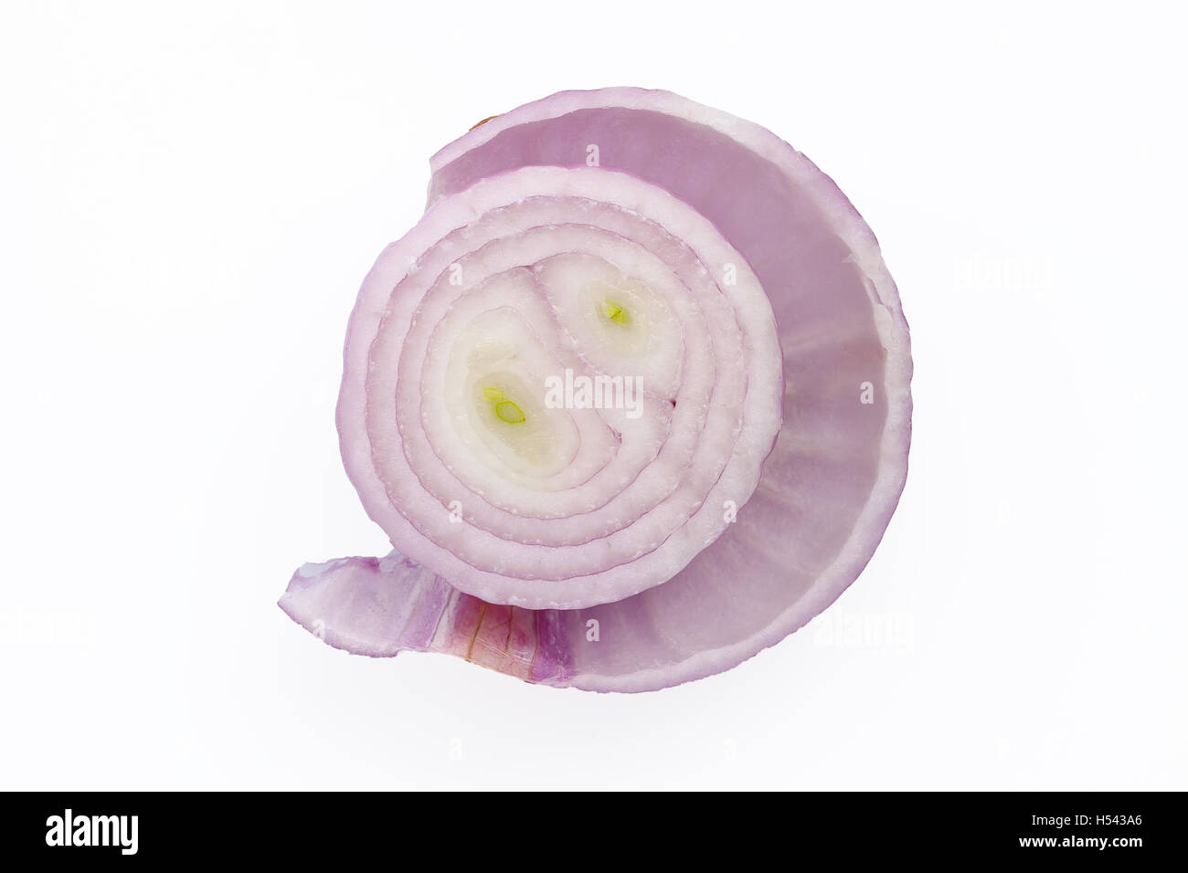 shallots still life white background onion bulb season herb vegetable ingredient Stock Photo