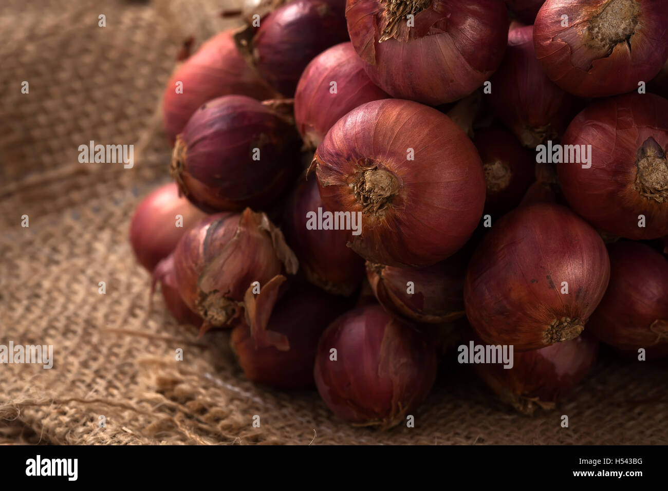 shallots still life sack background onion bulb season herb vegetable