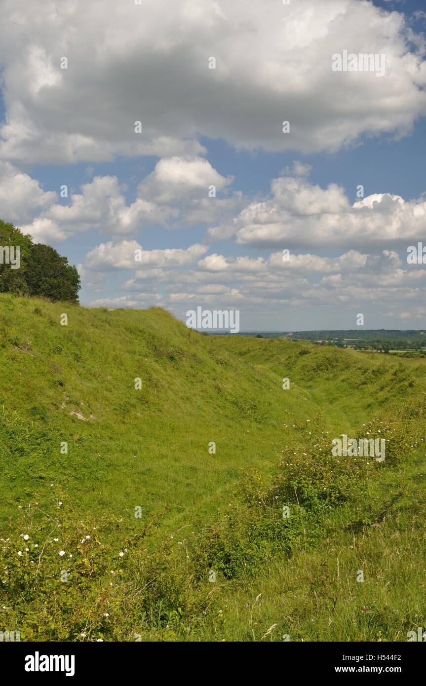 Buckland Rings The Iron Age Hill Fort at Badbury Rings, Dorset Stock Photo - Alamy