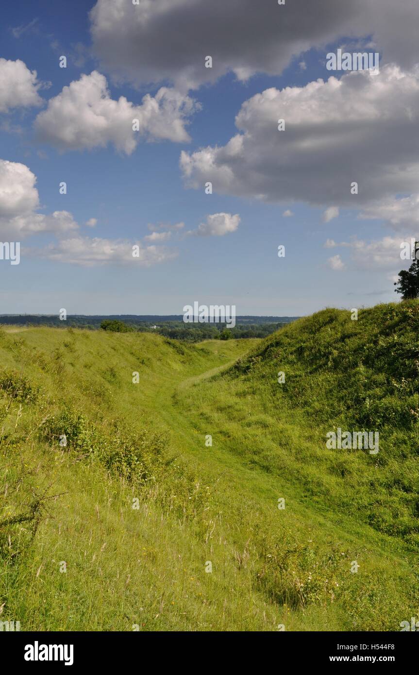 The Iron Age Hill Fort at Badbury Rings, Dorset Stock Photo - Alamy