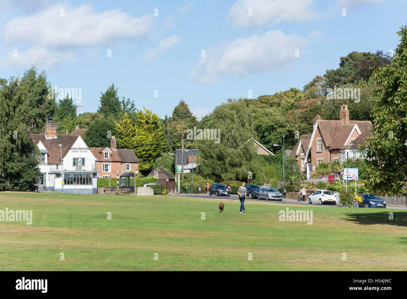 Woman Walking Dog On The Green Bearsted Kent England United Kingdom Stock Photo Alamy