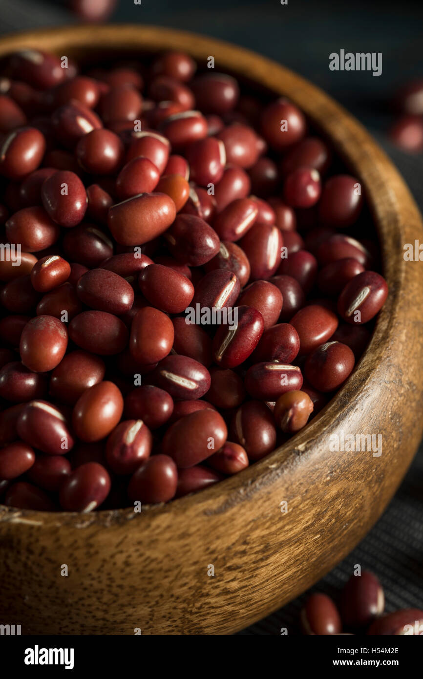 Raw Organic Red Adzuki Beans in a Bowl Stock Photo