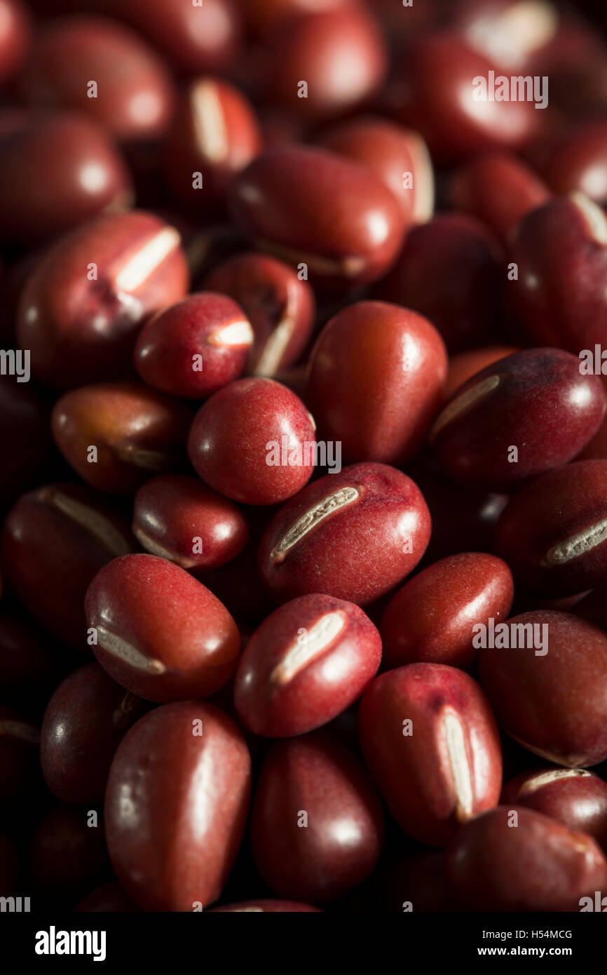 Aduki beans vegetables hi-res stock photography and images - Alamy