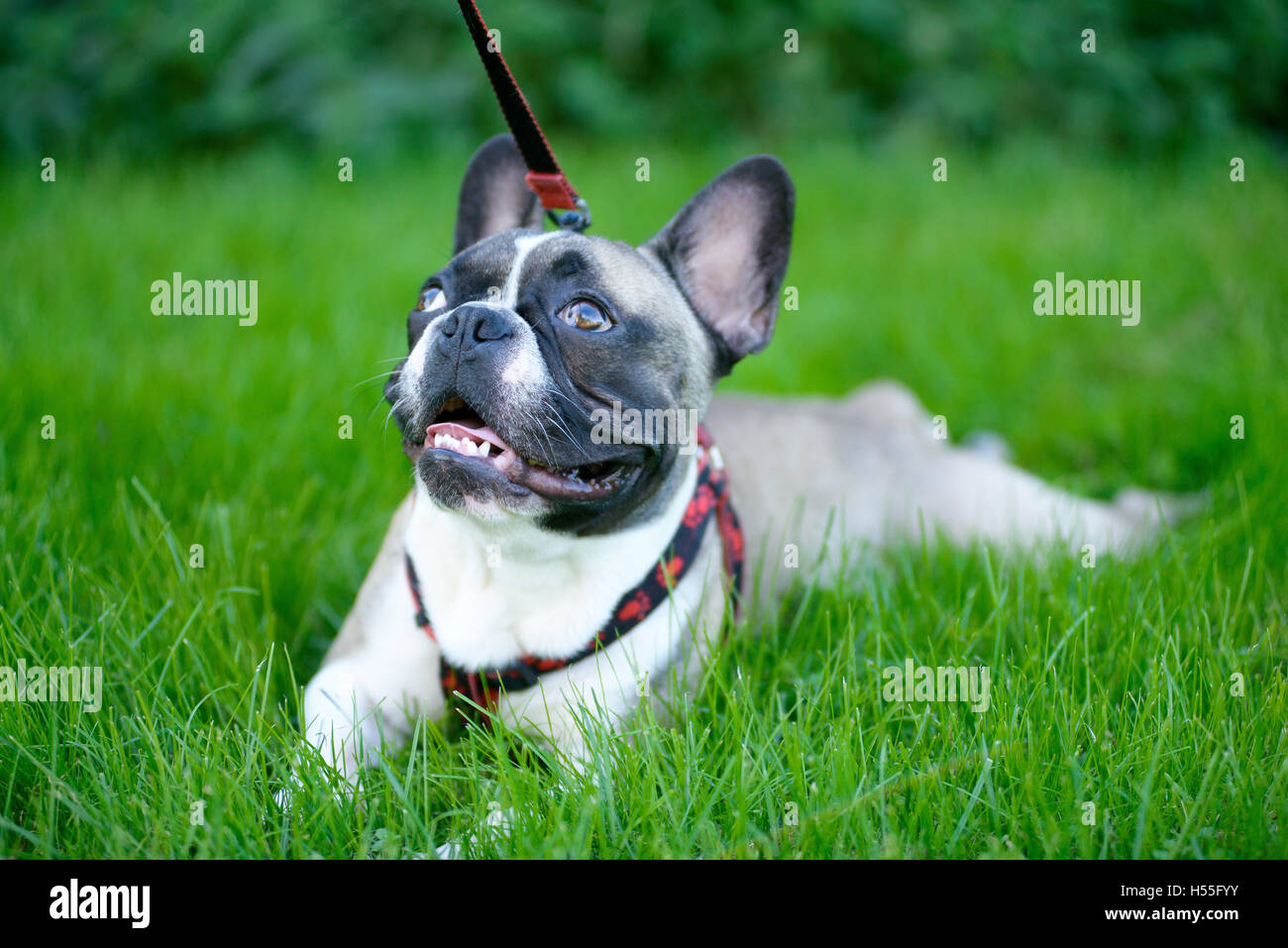 Photogallery, image size:1300x957