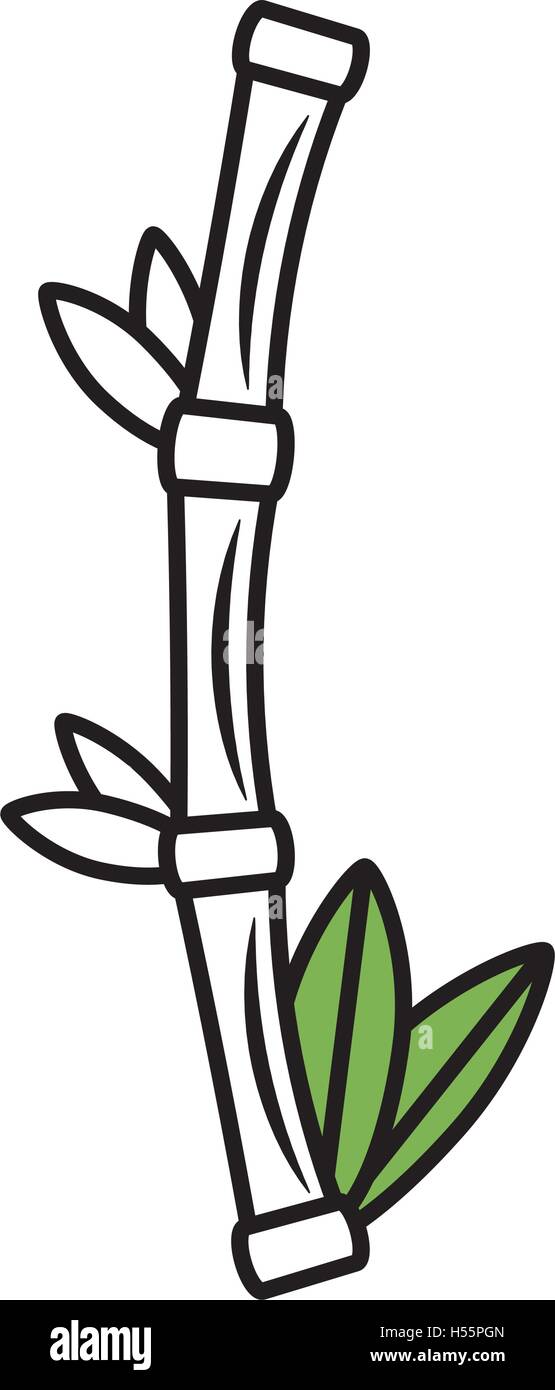 bamboo plant spa isolated icon Stock Vector Image & Art - Alamy