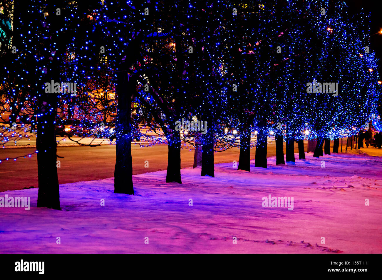 Night city street holiday lights Stock Photo Alamy
