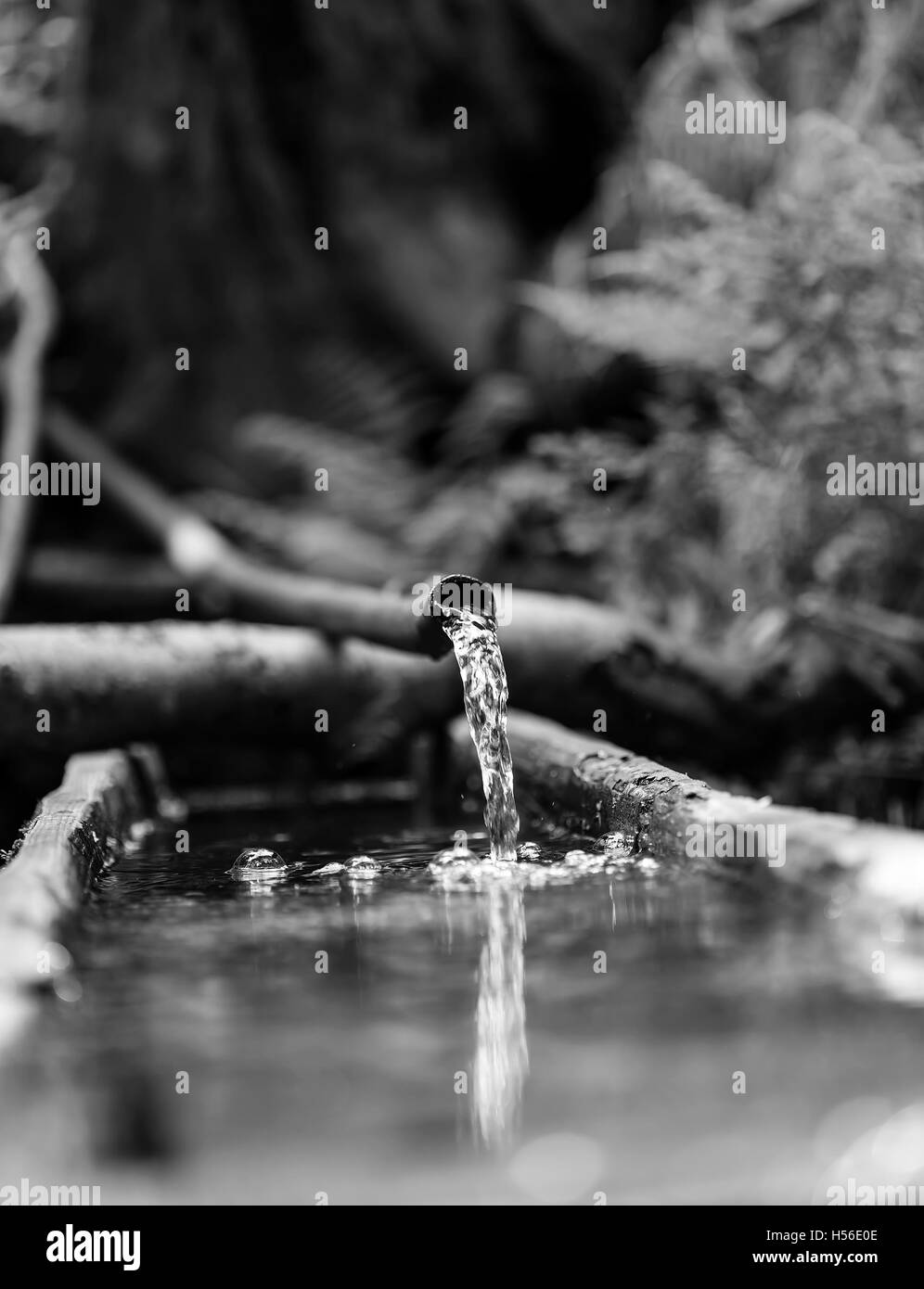 Water flowing from a plastic pipe in the nature. Stock Photo