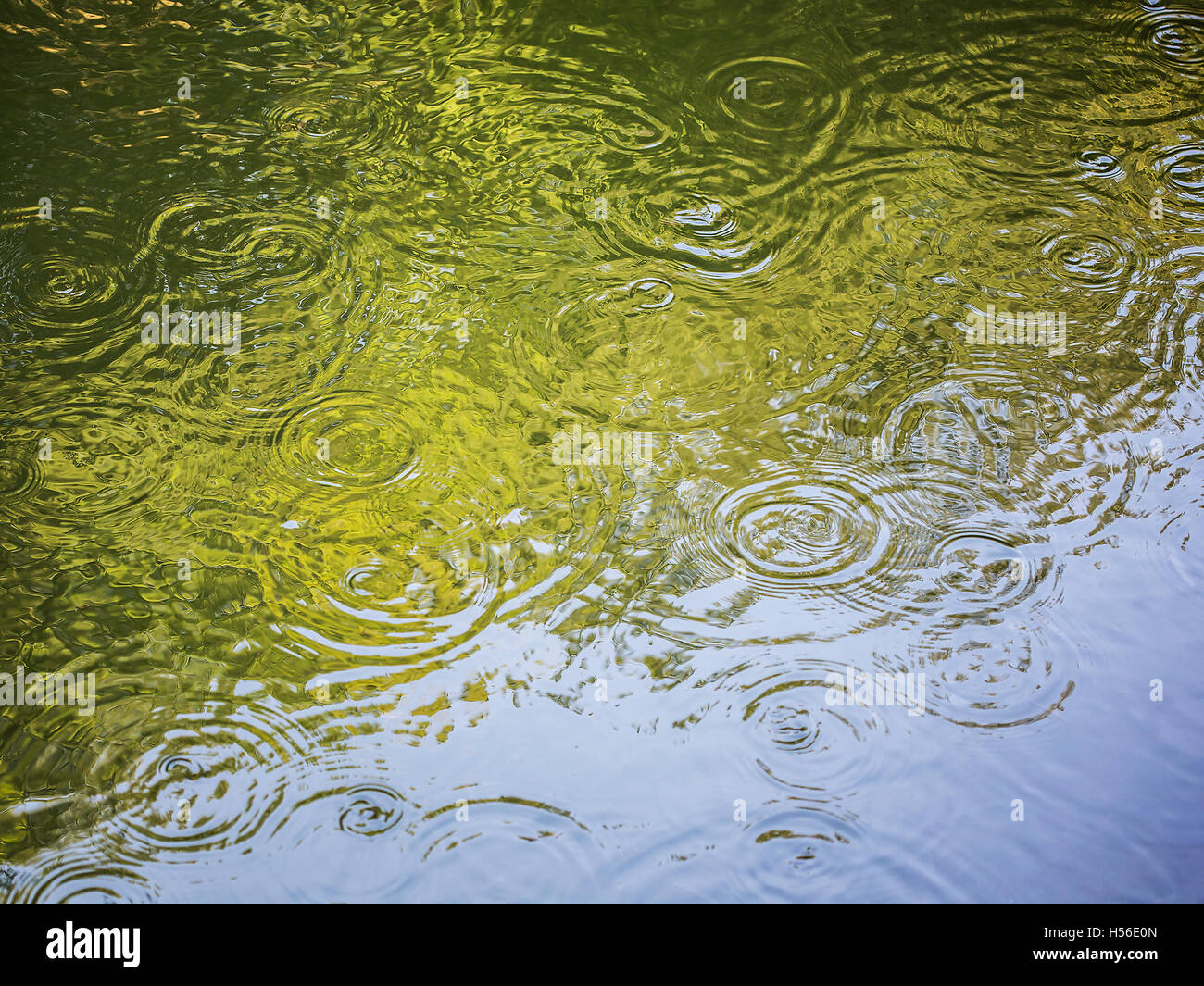Natural water ripple effect made in a pond. Stock Photo