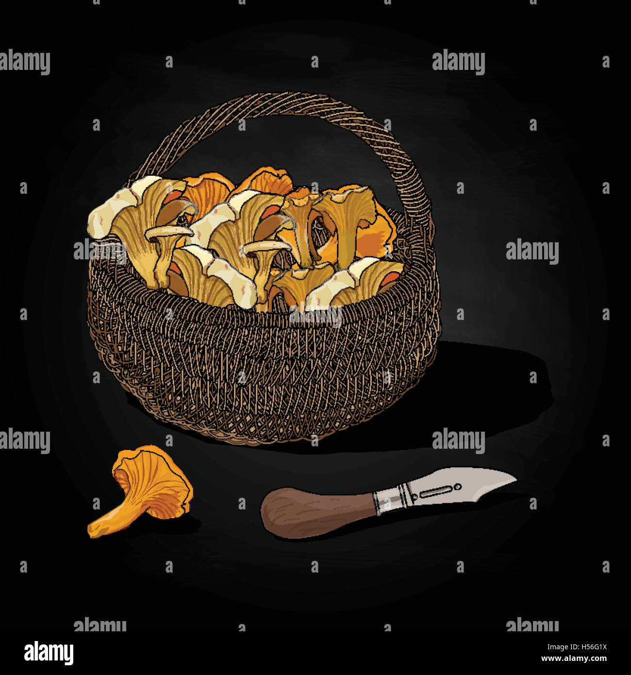 Mushrooms in the basket. Vector illustration. Isolated. Stock Vector