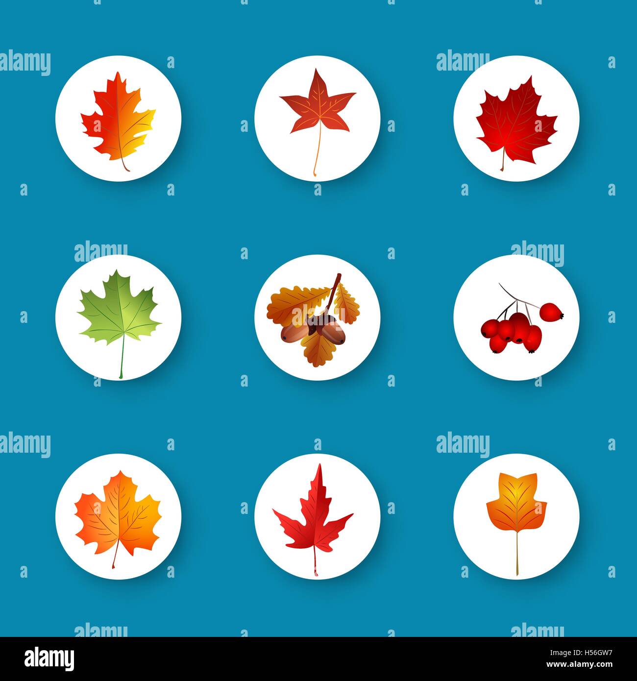 Set of autumn leaves in flat style . Vector illustration Stock Vector ...