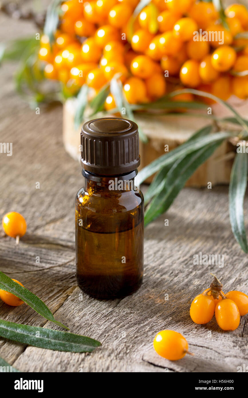 Seabuckthorn berries branch of sea buckthorn and oil on a vintage wooden background. Stock Photo