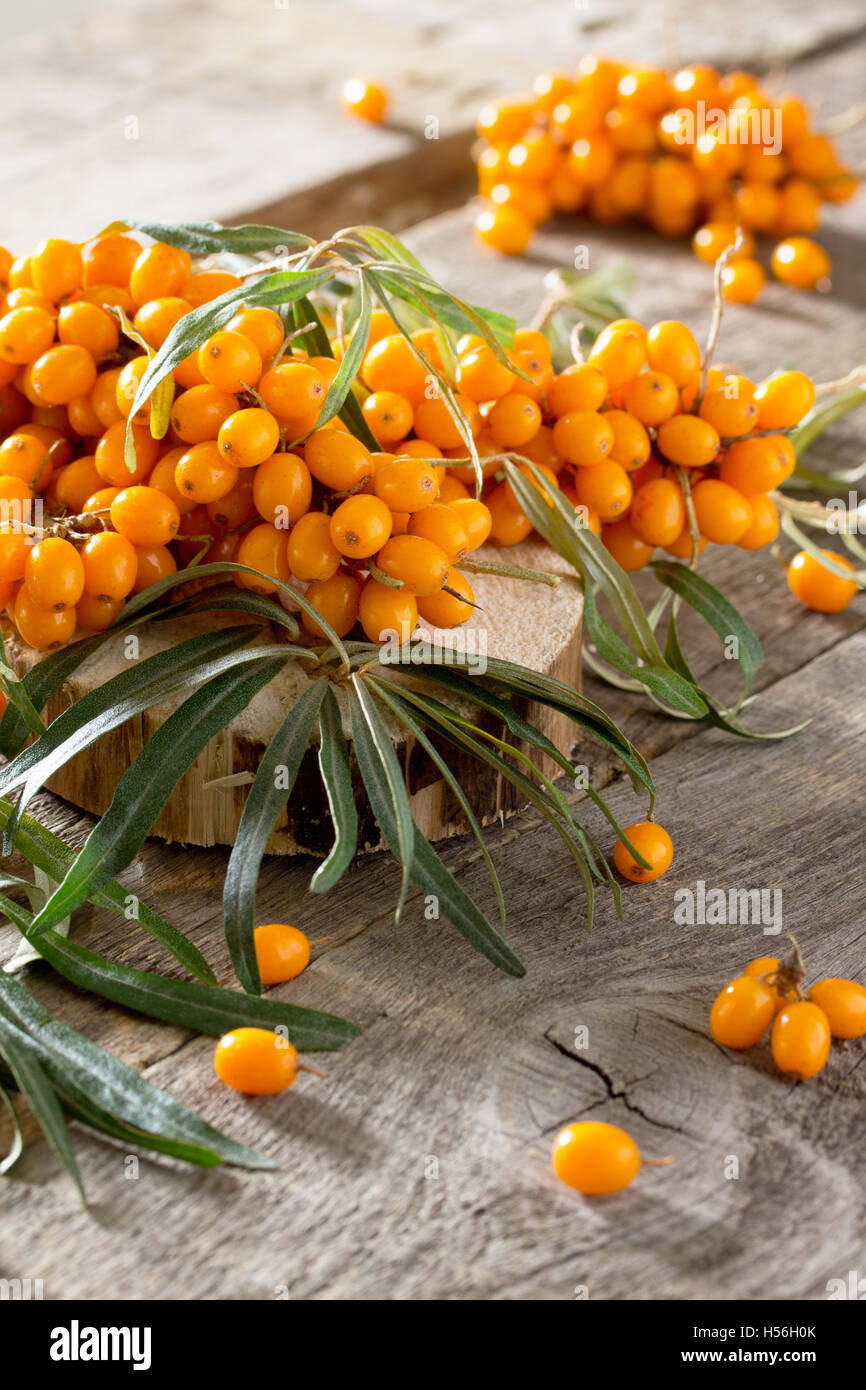 Seabuckthorn berries branch on vintage wooden background. Autumn background. Stock Photo